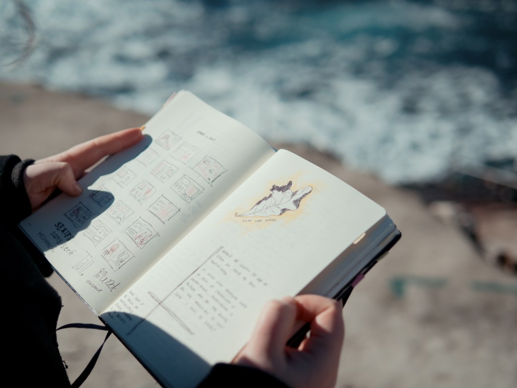 open sketchbook with illustration o a leaf