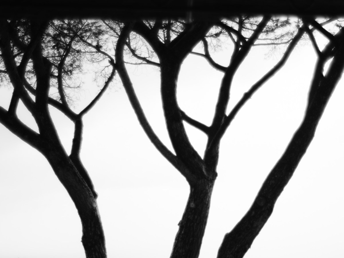 Marketing For Fine Art Photographers and Artists: The Ultimate 5-Stage Guide For&nbsp;2026